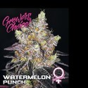 Watermelon Punch (Growers Choice) Feminiserede