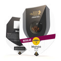 Marula Fruit (Royal Queen Seeds) regulær