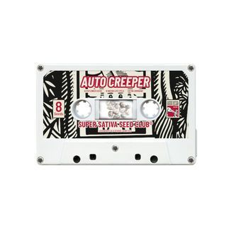 Auto Creeper (Super Sativa Seed Club) Feminiserede