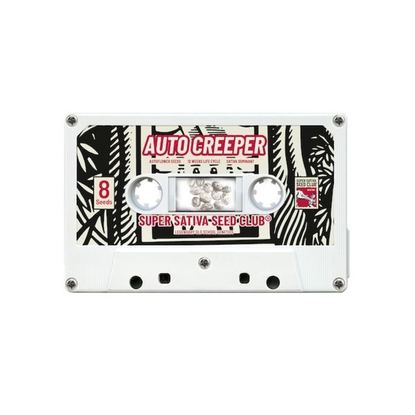 Auto Creeper (Super Sativa Seed Club) Feminiserede
