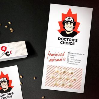 Doctor's Choice 1 Auto (Doctor's Choice) Feminiserede