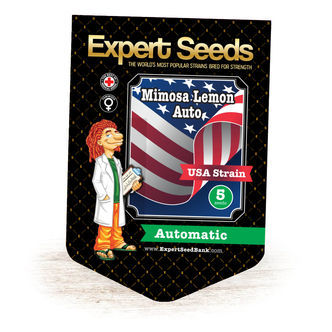Mimosa Lemon Auto (Expert Seeds) feminiserede