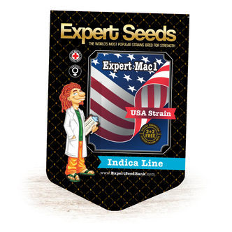 Expert Mac1 (Expert Seeds) feminiserede