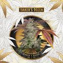 Baker's Dozen Exclusive (T.H.Seeds x Zamnesia) Feminiserede