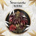 Baker's Dozen Exclusive (T.H.Seeds x Zamnesia) Feminiserede