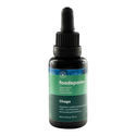 Chaga-svampe tinktur (Foodsporen)