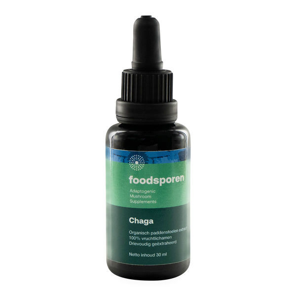 Chaga-svampe tinktur (Foodsporen)