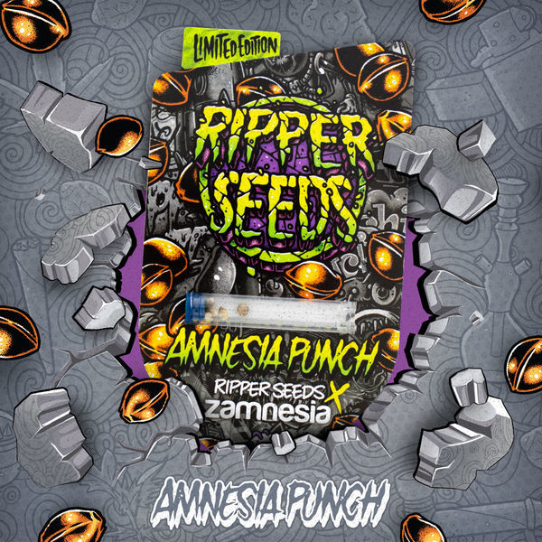 Amnesia Punch (Ripper Seeds x Zamnesia) Feminiserede