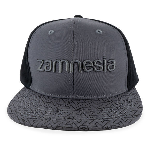 Zamnesia snapback-kasket grå