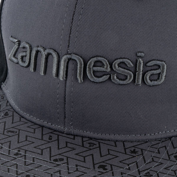 Zamnesia snapback-kasket grå