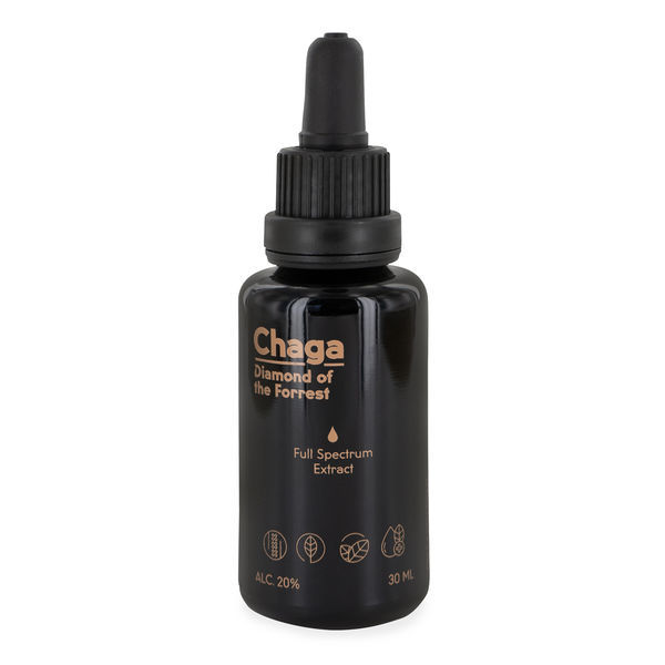 Chaga-svampetinktur (Mushinto)