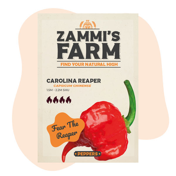 Carolina Reaper chilifrø