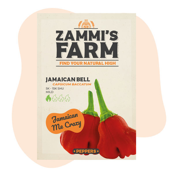 Jamaican Bell Cambuci-frø
