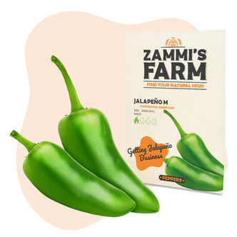 Jalape&ntilde;o M fr&oslash;