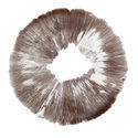 Sporeaftryk af Psilocybe cubensis Amazonas