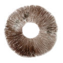 Sporeaftryk Psilocybe cubensis Ban Hua Thai