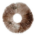 Sporeaftryk af Psilocybe cubensis Hawaii (PES)