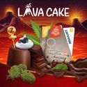 Lava Cake Autoflower (Zamnesia Seeds) Feminiserede