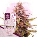 Pink Rozay (Zamnesia Seeds) Feminiserede