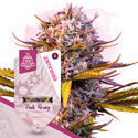 Pink Rozay Autoflower (Zamnesia Seeds) Feminiserede
