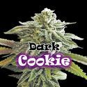 Dark Cookie (Dr. Underground) Feminiserede