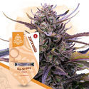 Do-Si-Dos (Zamnesia Seeds) Feminiserede