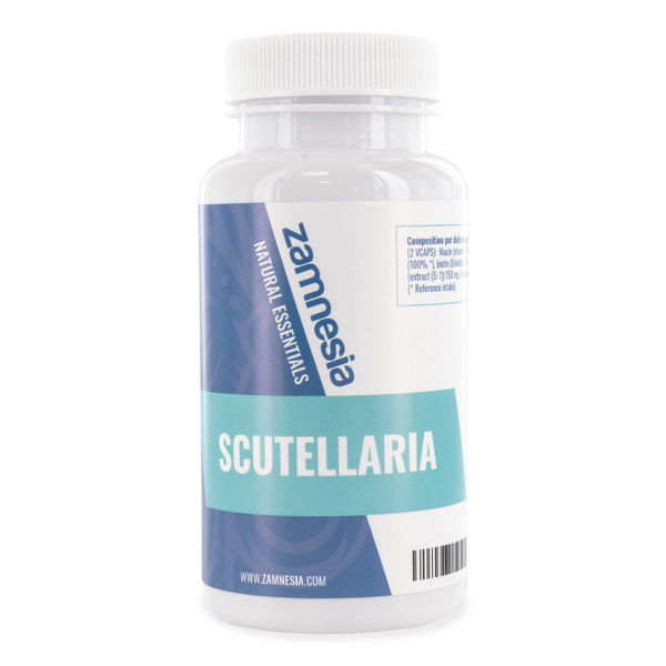 Skjolddrager (Scutellaria)