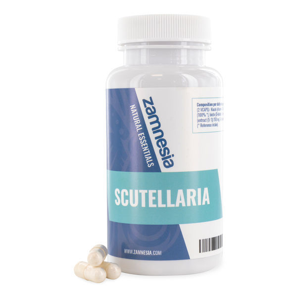 Skjolddrager (Scutellaria)