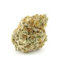 Forbidden Runtz XL Auto (Growers Choice) Feminiserede
