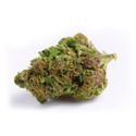 Red Banana Berry XL Auto (Growers Choice) Feminiserede