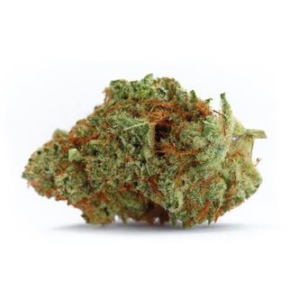 Naranja Biscotti Fast Version (Growers Choice) feminiserede cannabisfr&oslash;