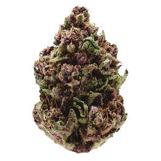 Pink Magic Fast Version (Growers Choice) Feminiserede