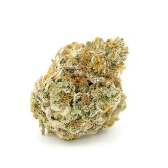 Forbidden Runtz (Growers Choice) Feminiserede