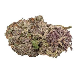 Ultra Violet GMO (Growers Choice) feminiserede cannabisfr&oslash;