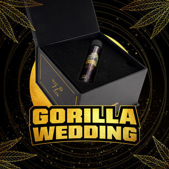 Gorilla Wedding (BSF Seeds x Zamnesia Seeds) Feminiserede