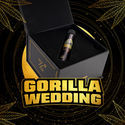 Gorilla Wedding (BSF Seeds x Zamnesia Seeds) Feminiserede