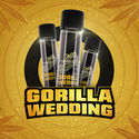 Gorilla Wedding (BSF Seeds x Zamnesia Seeds) Feminiserede
