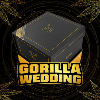 Gorilla Wedding (BSF Seeds x Zamnesia Seeds) Feminiserede