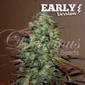 Eleven Roses - Early Version (Delicious Seeds) Feminiserede