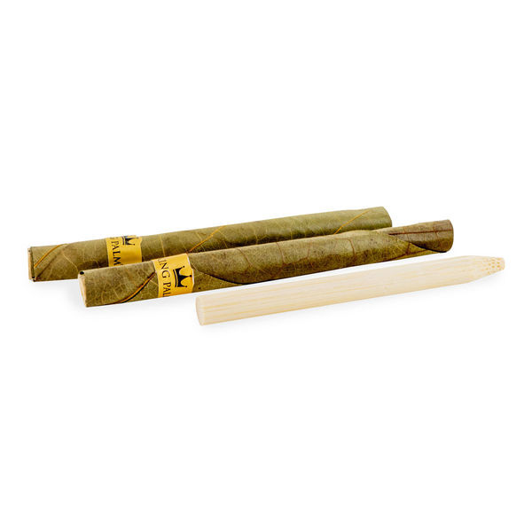 Naturlige færdigrullede cones slim (King Palm)