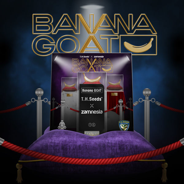 Banana GOAT (T.H. Seeds x Zamnesia Seeds) Feminiserede