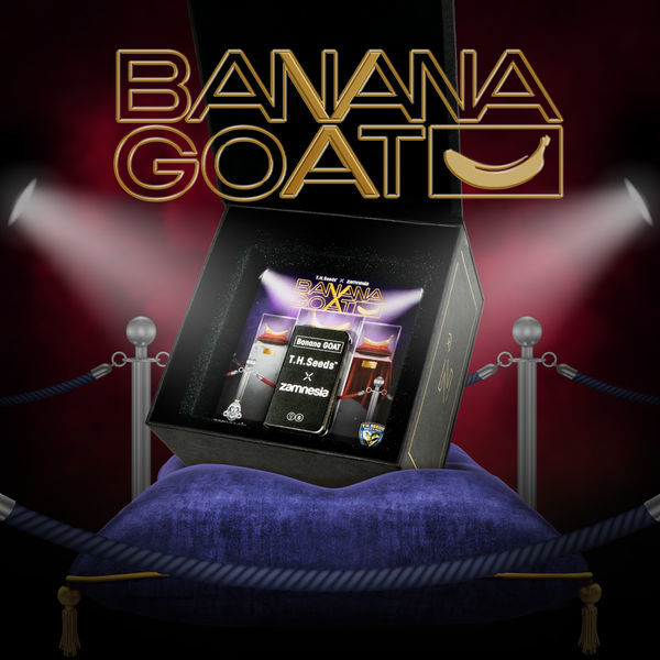 Banana GOAT (T.H. Seeds x Zamnesia Seeds) Feminiserede