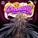 Chantilly (Perfect Tree) Feminiserede