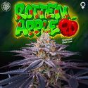 Rotten Apple (Perfect Tree) Feminiserede