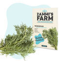 Malurtfrø (Artemisia absinthium)