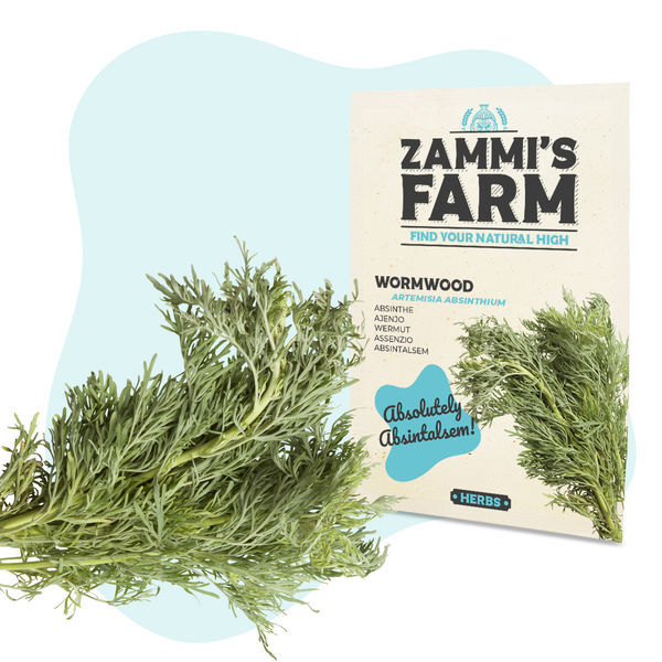 Malurtfrø (Artemisia absinthium)
