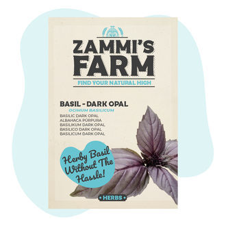 Basilikum 'Dark Opal' (Ocimum basilicum) frø