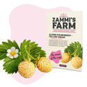 Alpejordbær – Yellow Cream (Fragaria vesca) frø