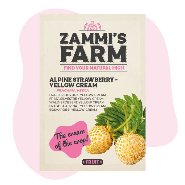 Alpejordbær – Yellow Cream (Fragaria vesca) frø
