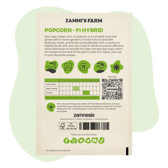Popcornmajs (Zea mays) frø - F1-hybrid